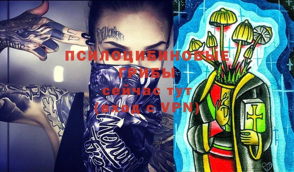 прущие грибы Алексин