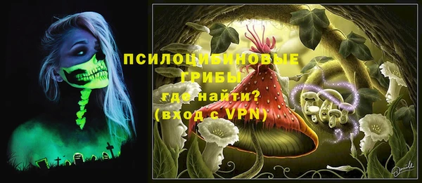 прущие грибы Алексин